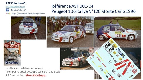 New decal peugeot 106 - 43,