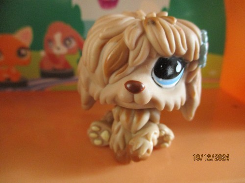 Petshop chien bobtail 678 - chien,