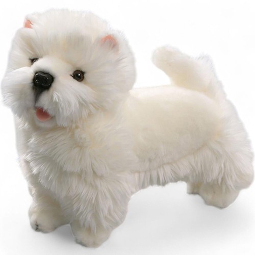 Carl dick westie west - carl, westie,