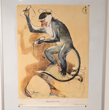 Circus - monkey glasses