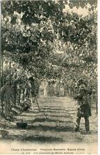 CPA 32 MONPLAISIR BOURRACHE