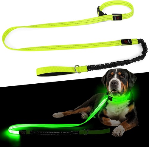 Collier laisse lumineux - et,