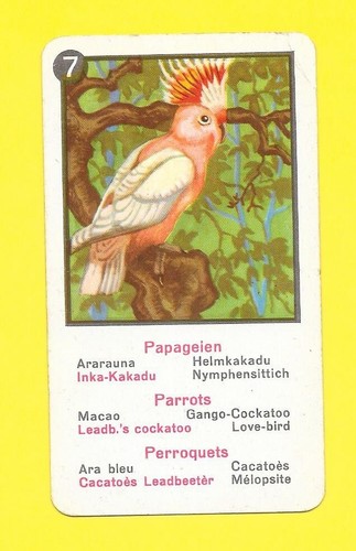 Carte allemande perroquets - carte,