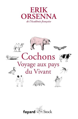 Cochons voyage aux pays - pays, du