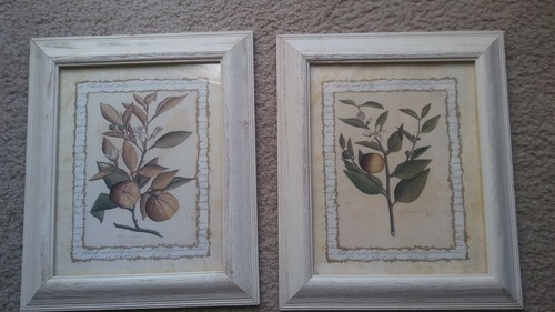 Vintage framed floral - , picture