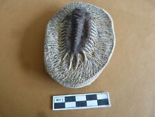 Matériel Pédagogique Moulage