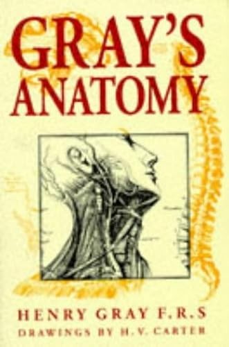 Gray anatomy - gray's,