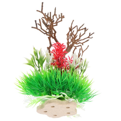 Plantes aquatiques - ,