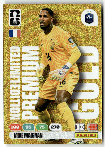 Panini fifa world cup - fifa,
