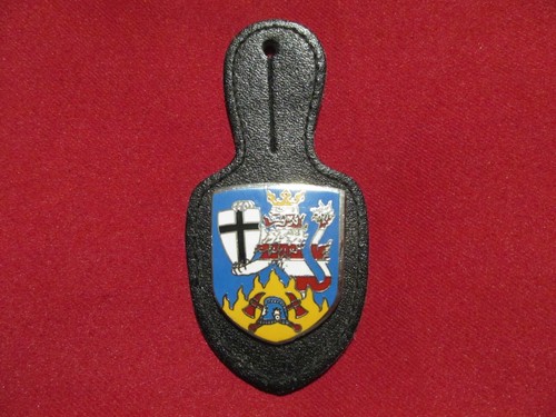 Insigne pucelle sapeurs - insigne,