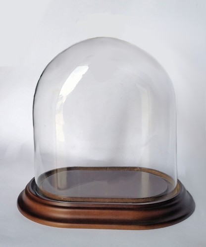 Cloche verre ovale long - en,