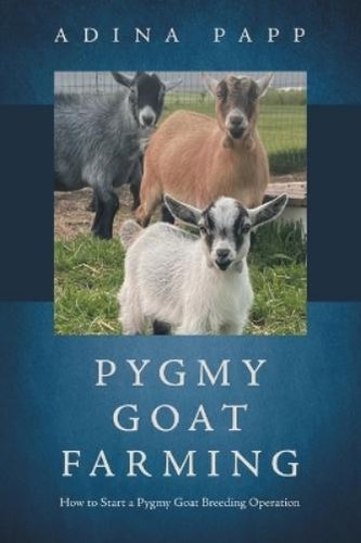 Adina papp pygmy goat - pygmy, farming