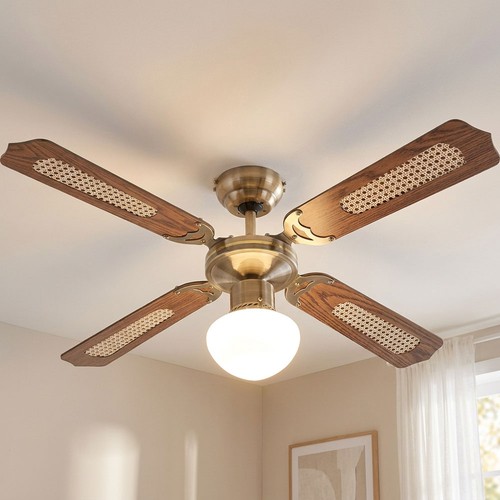 Ventilateur plafonnier led - ventilateur,