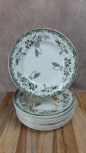 Lot assiettes plates - 12,