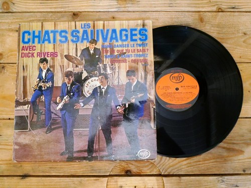 Les chats sauvages avec - les,