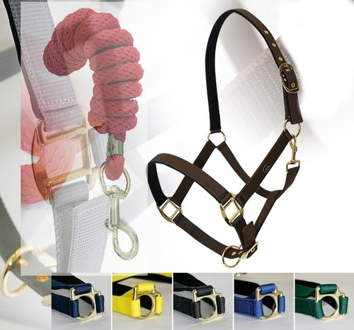 Cavezze pour chevaux - cavezze,