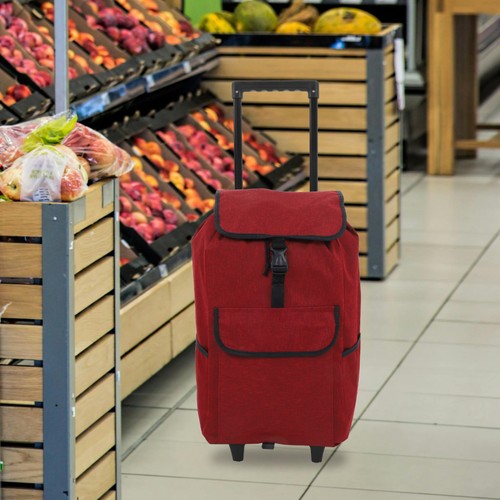 Sac roulettes portable de - sac,