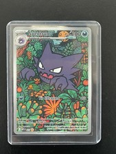 Carte pokemon promo - pokemon, :