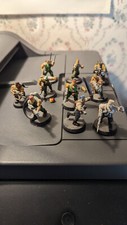 ASTRA MILITARUM x10 Catachans