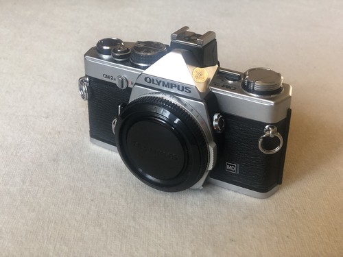 Olympus top tout - olympus,
