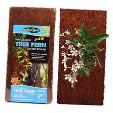 Tree Fern Orchid Mounting