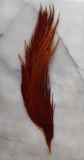 1/2 Cou de Coq, plume pour la pêche à la mouche.