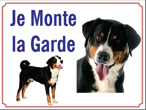 Attention chien je monte - je,