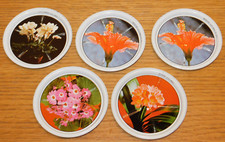 vintage LOT 5 DESSOUS de VERRE