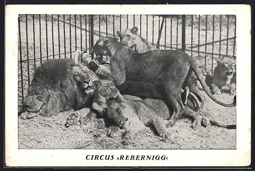 Carte postale cirque