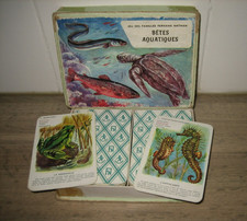 Ancien Jeu de 12 Familles