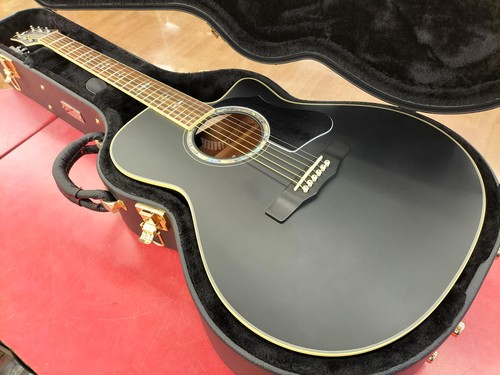 Guitare électrique acoustique