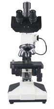 600 x microscope