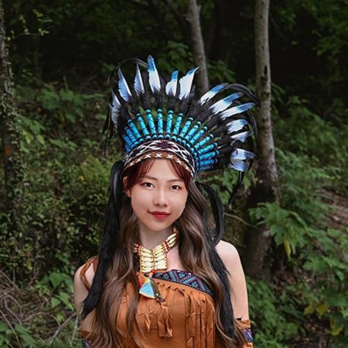 Coiffe indienne plumes - coiffe,