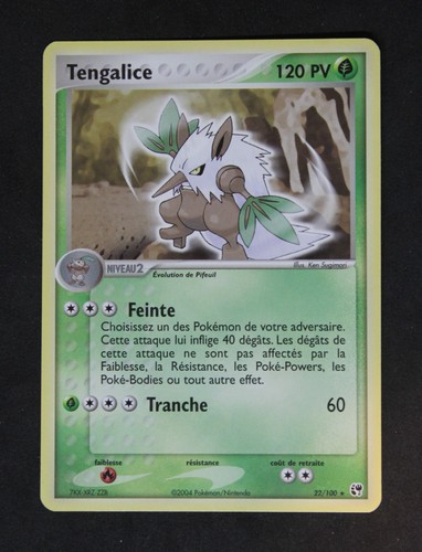 Carte pokemon 100 - pokemon, 22-100