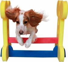 Petit chien mousse rigide