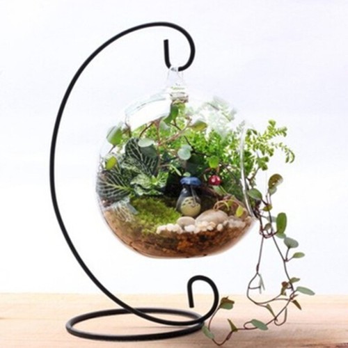Support plante fer noir et - plante,