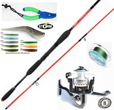 Ensemble canne + moulinet +