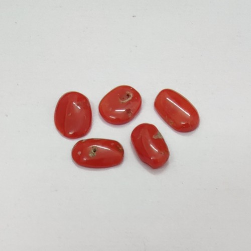 Cabochon corail rouge