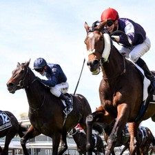 METHODE de TURF : THE CASH