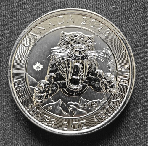 Smilodon 2023 canada - smilodon,