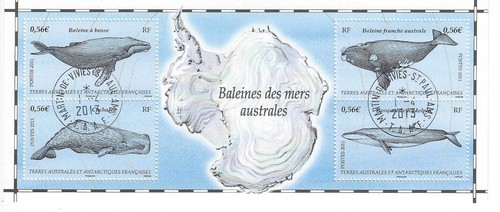 Taaf bloc 25 oblitéré - bloc, n°