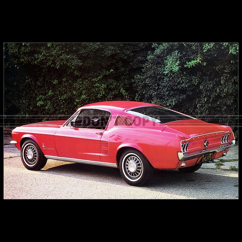 Photo 037436 ford mustang - ford,