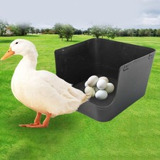 Nichoir à poules à compartiment unique, nid à œufs de canard, fournitures