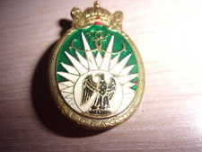 Insigne 13° Régiment de Dragons Parachutistes - Translucide - RDP - FS - COS