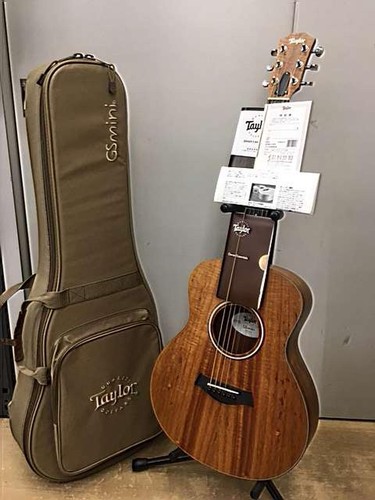 Guitare électrique acoustique