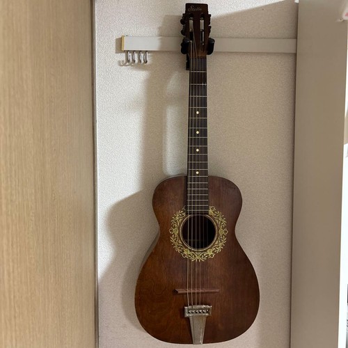 Acoustic guitar harmony - acoustic,