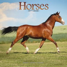 Calendrier 2017 - CHEVAUX