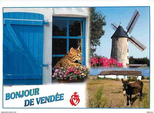 Carte postale animaux - postale,