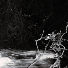 Liar, Flower Geiger Counter (Vinyl) 12" Album