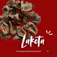 Écorce De Lakota ( 220g )